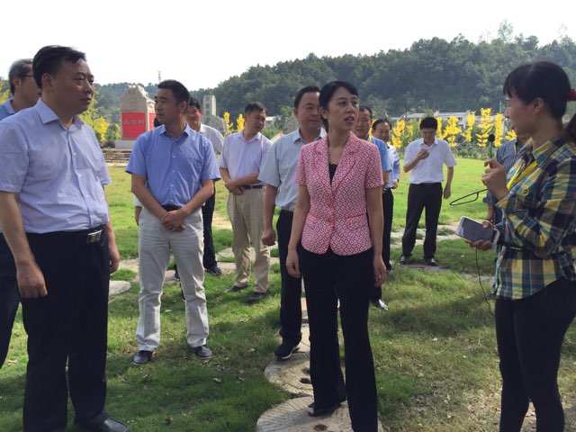 随州市委书记陈安丽在洛阳镇调研景区建设综治维稳